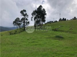  Grundstück zu verkaufen in Manizales, Caldas, Manizales, Caldas