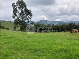  Grundstück zu verkaufen in Manizales, Caldas, Manizales, Caldas