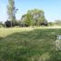  Land for sale in Confluencia, Neuquen, Confluencia