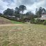  Land for sale in El Carmen De Viboral, Antioquia, El Carmen De Viboral