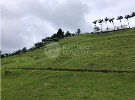  Terreno (Parcela) en venta en Manizales, Caldas, Manizales