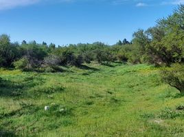  Terreno (Parcela) en venta en Lacar, Neuquen, Lacar