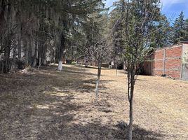  Land for sale in Tlahuapan, Puebla, Tlahuapan