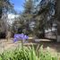  Land for sale in Tlahuapan, Puebla, Tlahuapan