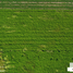  Terreno (Parcela) en venta en Dist Pochutla, Oaxaca, Dist Pochutla