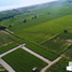  Terreno (Parcela) en venta en Dist Pochutla, Oaxaca, Dist Pochutla
