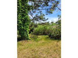  Land for sale in Villa Gesell, Buenos Aires, Villa Gesell