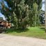 Terrain à vendre à General Pueyrredon, Buenos Aires, General Pueyrredon
