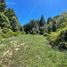  Land for sale in Rio Negro, Bariloche, Rio Negro