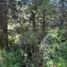  Land for sale in Rio Negro, Bariloche, Rio Negro