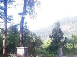  Land for sale in Cushamen Chubut, Cushamen