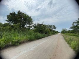  Grundstück zu verkaufen in Merida, Yucatan, Merida, Yucatan