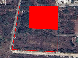  Terreno (Parcela) en venta en Merida, Yucatán, Merida, Yucatán