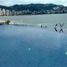 5 Habitación Casa en venta en Acapulco, Guerrero, Acapulco, Guerrero