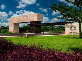  Grundstück zu verkaufen in Merida, Yucatan, Merida, Yucatan