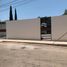 Maison 3 chambre à vendre à Conkal, Yucatan, Conkal