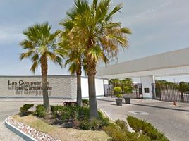  Terreno (Parcela) en venta en Celaya, Guanajuato, Celaya