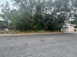  Grundstück zu verkaufen in Tlayacapan, Morelos, Tlayacapan