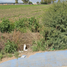  Terreno (Parcela) en venta en Pedro Escobedo, Querétaro, Pedro Escobedo, Querétaro