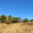  Land for sale in Maule, Cauquenes, Cauquenes, Maule