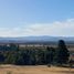  Land for sale in Maule, Cauquenes, Cauquenes, Maule