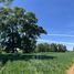  Land for sale in Temuco, Araucania, Temuco, Cautin, Araucania