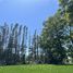  Land for sale in Cautin Araucania, Temuco, Cautin, Araucania, Chile