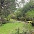  Terreno (Parcela) en venta en Chile, Coihaique, Coihaique, Aisén del General Carlos Ibáñez del Campo, Chile