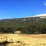  Land for sale in Chile, Lago Verde, Coihaique, Aisen Del General Carlos Ibanez Del Campo, Chile