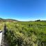  Terreno (Parcela) en venta en Maule, Teno, Curicó, Maule