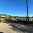  Terreno (Parcela) en venta en Maule, Teno, Curicó, Maule