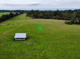  Terreno (Parcela) en venta en Los Lagos, Puerto Octay, Osorno, Los Lagos