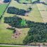  Terreno (Parcela) en venta en Los Lagos, Puerto Octay, Osorno, Los Lagos