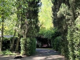  Land for sale in Biobío, Los Angeles, Biobío, Biobío