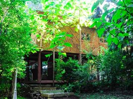  Terreno (Parcela) en venta en Biobío, Los Angeles, Biobío, Biobío