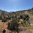  Land for sale in Chile, La Serena, Elqui, Coquimbo, Chile