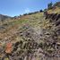  Land for sale in Chile, La Serena, Elqui, Coquimbo, Chile