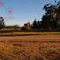  Land for sale in Concordia, Entre Rios, Concordia