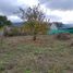  Land for sale in Rio Negro, Bariloche, Rio Negro