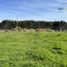  Land for sale in Llanquihue, Los Lagos, Puerto Varas, Llanquihue