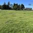  Land for sale in Llanquihue, Los Lagos, Puerto Varas, Llanquihue