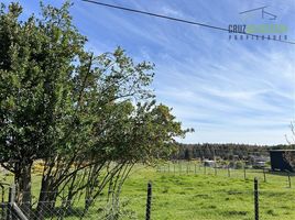  Land for sale in Llanquihue, Los Lagos, Puerto Varas, Llanquihue