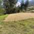  Land for sale in Azuay, Paccha, Cuenca, Azuay