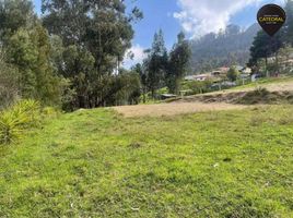  Land for sale in Azuay, Paccha, Cuenca, Azuay