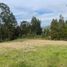  Land for sale in Azuay, Paccha, Cuenca, Azuay