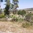  Terrain for sale in San Jose Iturbide, Guanajuato, San Jose Iturbide