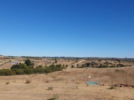  Terrain for sale in Litueche, Cardenal Caro, Litueche