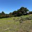  Land for sale in Valparaiso Valparaiso, Puchuncavi, Valparaiso, Valparaiso, Chile