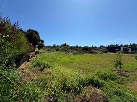  Land for sale in Valparaiso Valparaiso, Puchuncavi, Valparaiso, Valparaiso, Chile