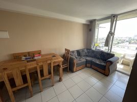 3 Habitación Departamento en venta en Cordillera, Santiago, Puente Alto, Cordillera